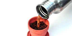 Lápis Semente devolve flores à Natureza