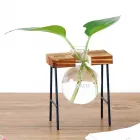 Vaso de Vidro para Planta Personalizado