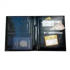 Pasta Organizer Viagem