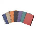 Cadernetas  em várias cores