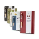 Caderno de anotações 21x15cm: várias cores