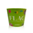 Balde Personalizado Verde