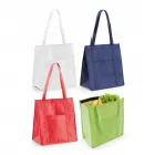 SACOLA TÉRMICA EM NON-WOVEN - 1