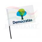 Bandeira político
