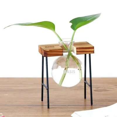 Vaso de Vidro para Planta Personalizado