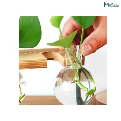 Vaso de Vidro para Planta Personalizado