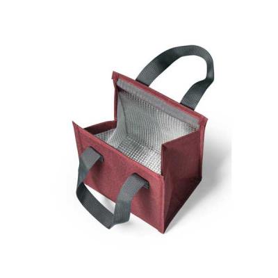 Bolsa Termica Personalizada em Poliester