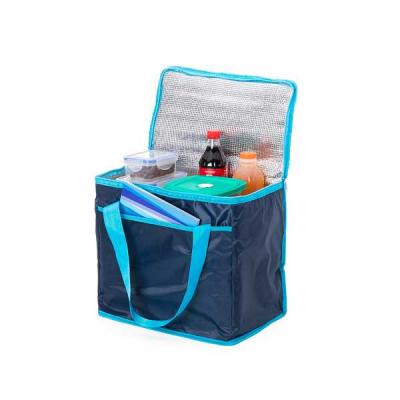 Bolsa Termica 36 Litros Personalizada