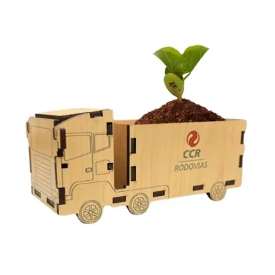 Caminhão feito em mdf com semente mágica