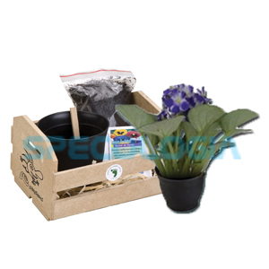 Kit para cultivo com cestinha.