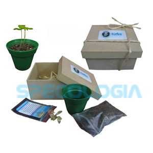 Kit para cultivo com caixa em MDF