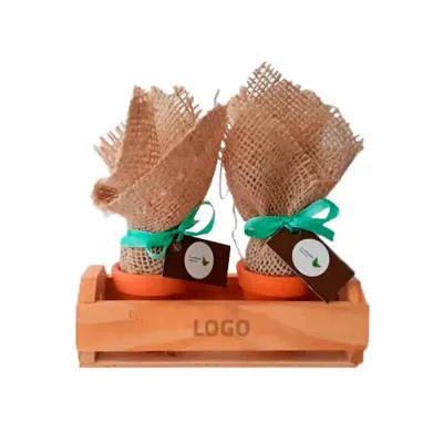 Kit Plantio - Cultivo Sustentável