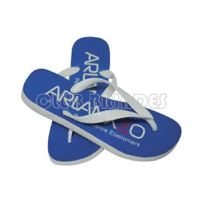 Chinelo Havaianas Top em diversas cores