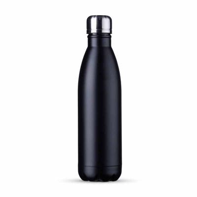 Garrafa Inox 750ml