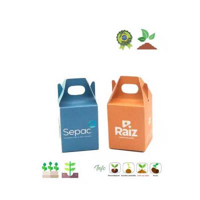 Kit Semente Magica Personalizado