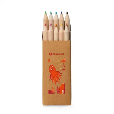 Caixa de cartão com 10 mini lápis de cor - personalizada