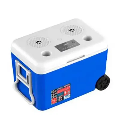 Caixa térmica com som