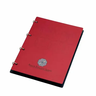 Pasta Fichário 17CA