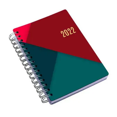 Agenda diária 003PAP