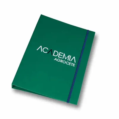 PASTA FICHÁRIO 4981CA Verde