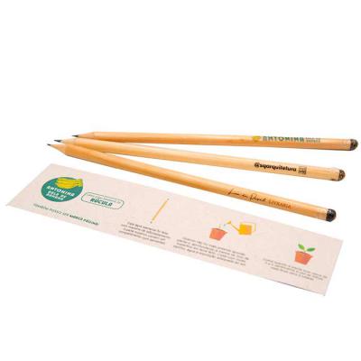 QI Brindes - É um produto desenvolvido de maneira artesanal e sustentável, ao terminar de usar o lápis você deve enterrá-lo para que as sementes que estão nele ger...
