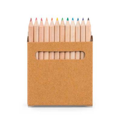 Caixa de cartão com 12 lápis de cor