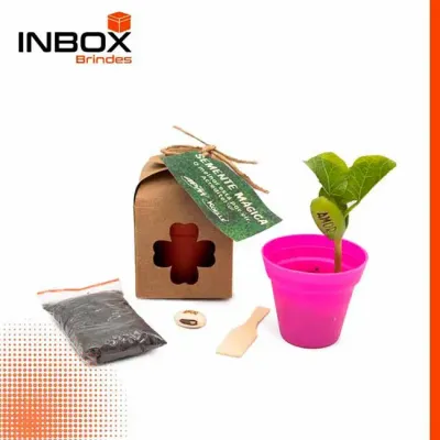 Semente Mágica na Caixa