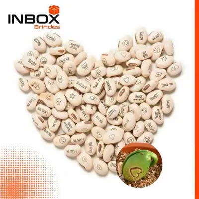 Semente Mágica na Caixa