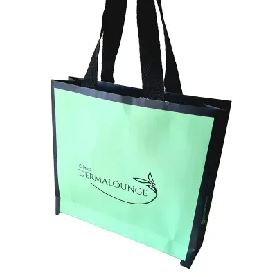 Sacola de papelão verde