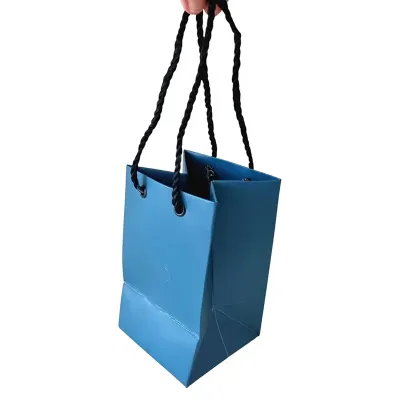 Sacola de papelão azul