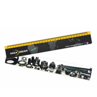 Régua com 30 cm em cores 