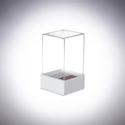 Cúpula Personalizada de Acrílico