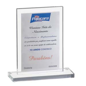 Troféu de aço e acrílico, embalado em saco de TNT personalizado.