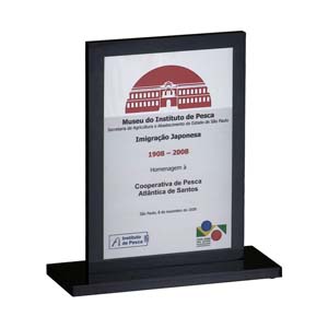 Troféu de aço e acrílico, embalado em saco de TNT.