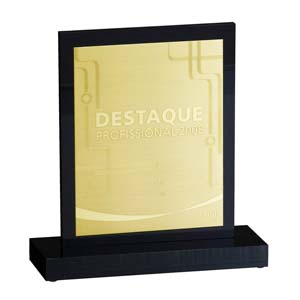 Troféu de latão e acrílico, embalado em saco de TNT.