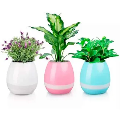 Vaso de planta musica