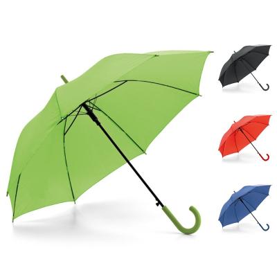 Guarda-chuva Personalizado 1