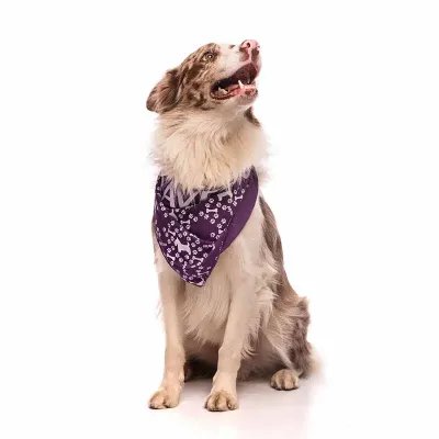 Bandana Pet roxa
